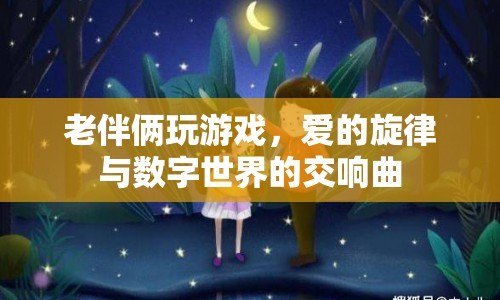 愛的旋律，數(shù)字世界中的老伴倆游戲交響曲