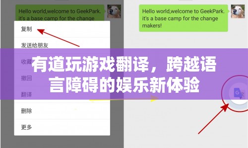 跨越語言障礙的娛樂新體驗(yàn)，有道玩游戲翻譯