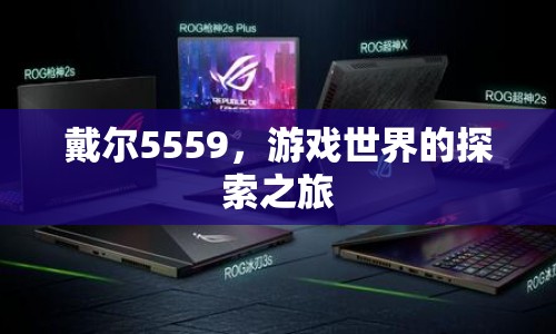 戴爾5559，游戲世界的探索之旅