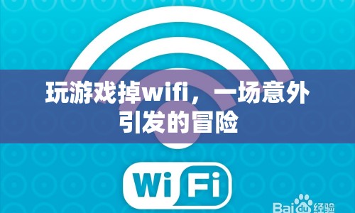 一場意外引發(fā)的冒險，玩游戲掉wifi