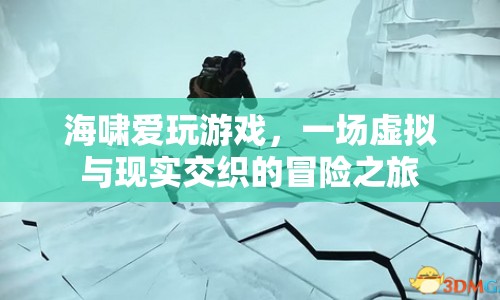 海嘯愛玩游戲，虛擬與現(xiàn)實(shí)交織的冒險(xiǎn)之旅  第1張