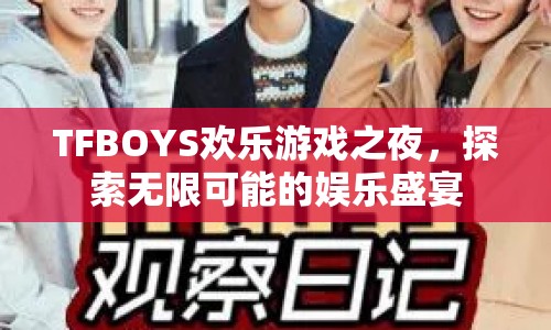 TFBOYS歡樂游戲之夜，探索娛樂盛宴的無限可能