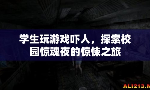 校園驚魂夜，學(xué)生玩游戲引發(fā)驚悚之旅