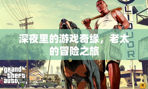 老太深夜游戲奇緣冒險之旅