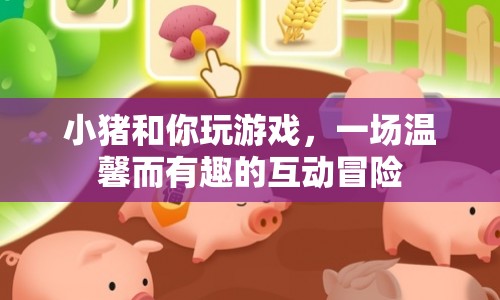 小豬與你，溫馨互動(dòng)冒險(xiǎn)游戲