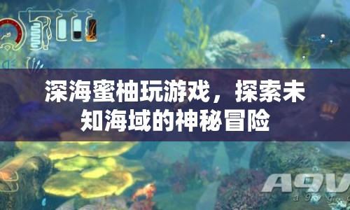 深海蜜柚的冒險，探索未知海域的神秘之旅