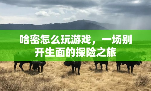 哈密，開啟一場(chǎng)別開生面的游戲探險(xiǎn)之旅