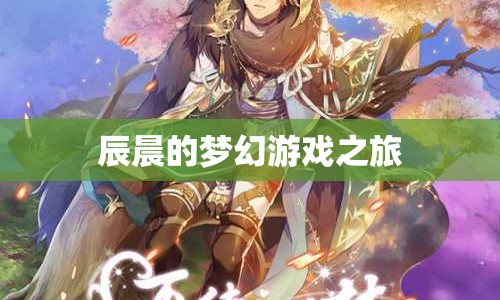 辰晨的夢(mèng)幻游戲之旅，探索未知，挑戰(zhàn)自我