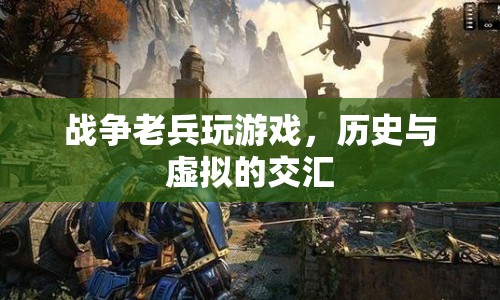 戰(zhàn)爭(zhēng)老兵與虛擬游戲，歷史與虛擬的交匯點(diǎn)