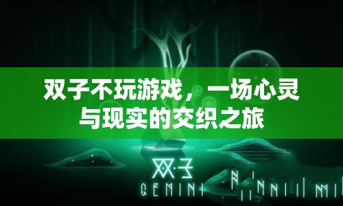 雙子，一場心靈與現(xiàn)實的交織之旅