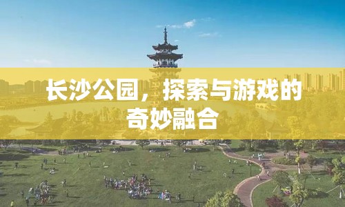 長(zhǎng)沙公園，探索與游戲的奇妙融合之地