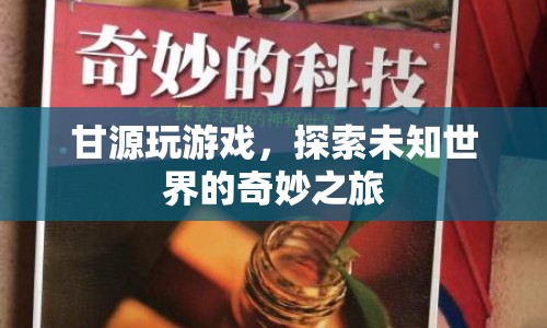 甘源游戲，探索未知世界的奇妙之旅  第1張