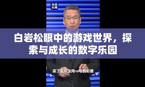 白巖松眼中的游戲世界，探索與成長(zhǎng)的數(shù)字樂園