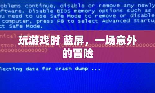 游戲藍(lán)屏，一場(chǎng)意外的冒險(xiǎn)之旅