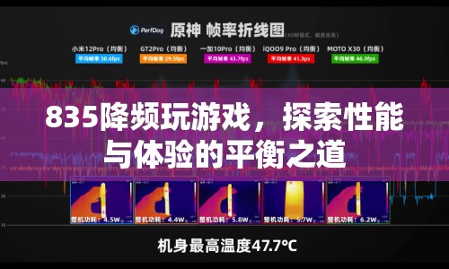 835降頻玩游戲，探索性能與體驗(yàn)的平衡之道  第1張