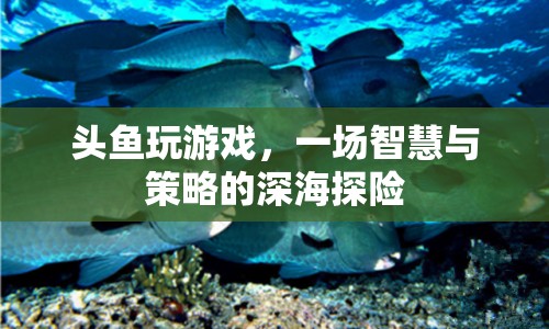 頭魚智慧深海探險，策略與智慧的碰撞