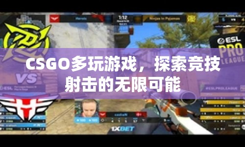 CSGO，探索競(jìng)技射擊的無(wú)限可能  第1張