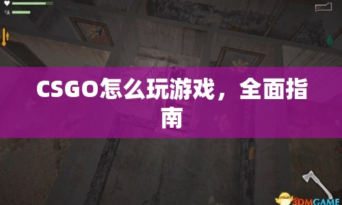 CSGO全面游戲指南，從入門到精通