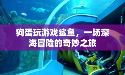 狗蛋與鯊魚共赴深海冒險之旅