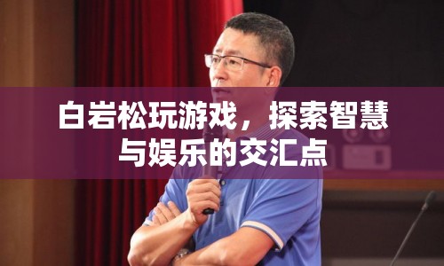 白巖松跨界玩游戲 探索智慧與娛樂交匯點