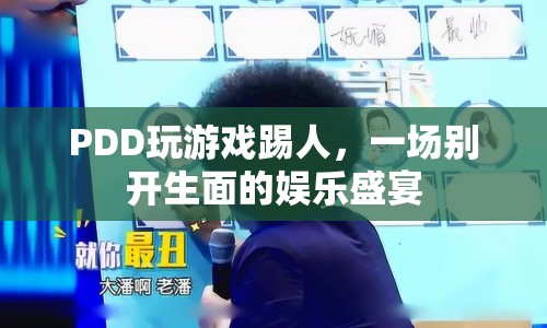 PDD玩游戲踢人，掀起娛樂盛宴高潮  第1張