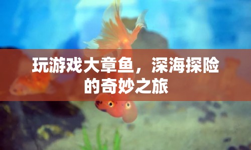 大章魚深海探險，奇妙之旅開啟