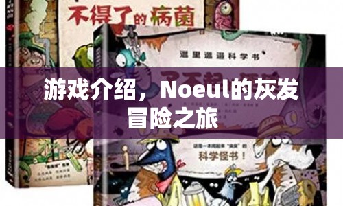 Noeul的灰發(fā)冒險之旅，探索未知世界的奇幻之旅