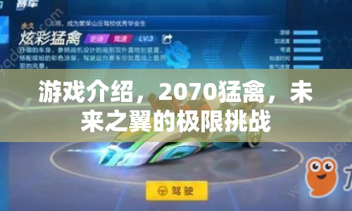 2070猛禽，未來之翼的極限挑戰(zhàn)  第1張