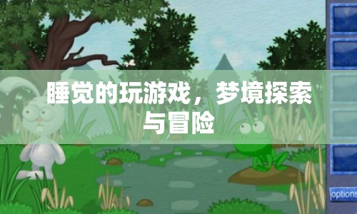 夢(mèng)境探索，在睡眠中玩游戲的奇妙冒險(xiǎn)