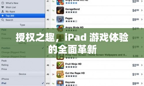 iPad游戲新體驗(yàn)，授權(quán)之趣的全面革新  第1張