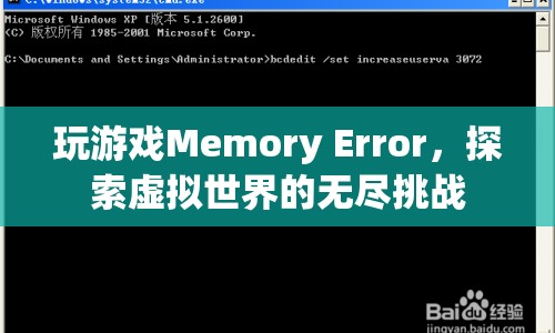 虛擬世界中的無盡挑戰(zhàn)，Memory Error的奧秘