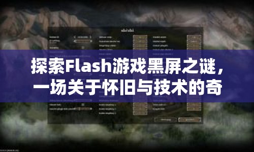 Flash游戲黑屏之謎，懷舊與技術(shù)的奇妙冒險(xiǎn)