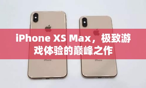 iPhone XS Max，打造極致游戲體驗(yàn)的巔峰之作