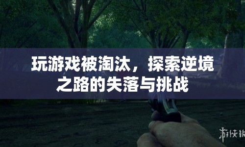逆境之路，游戲淘汰后的失落與挑戰(zhàn)  第1張