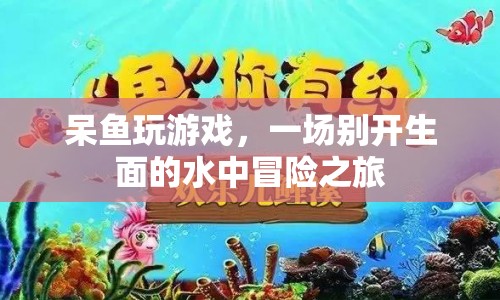 水中冒險之旅，呆魚玩游戲