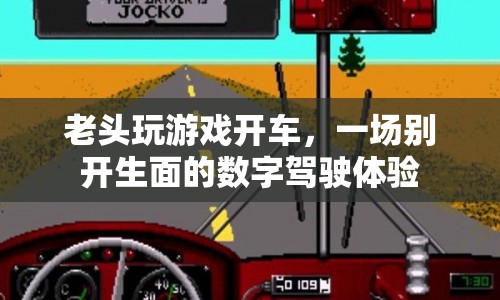 老頭數(shù)字駕駛，游戲開車體驗(yàn)