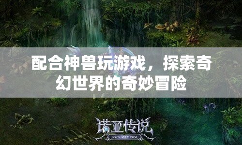 探索奇幻世界的奇妙冒險(xiǎn)，與神獸共舞