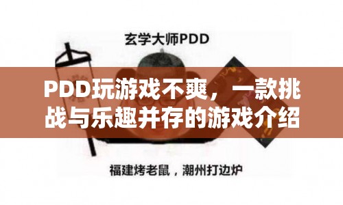 PDD挑戰(zhàn)樂趣并存的游戲，探索未知，挑戰(zhàn)自我！