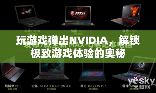 解鎖極致游戲體驗(yàn)，NVIDIA助力游戲性能飛躍