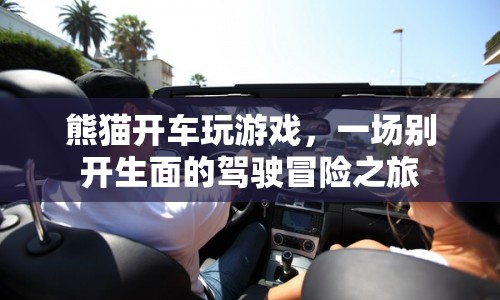 熊貓開車玩游戲，一場別開生面的駕駛冒險之旅