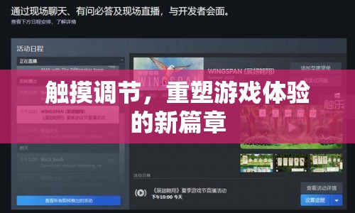 觸摸調(diào)節(jié)，重塑游戲體驗的新篇章