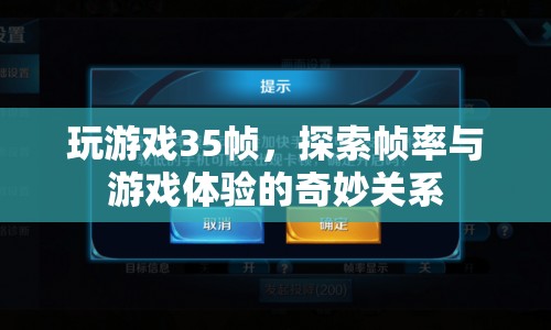 35幀下的游戲世界，探索幀率與游戲體驗的奇妙關(guān)系