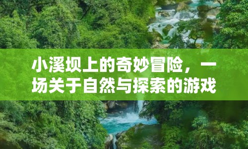 小溪壩上的奇妙冒險(xiǎn)，自然與探索的夢(mèng)幻之旅