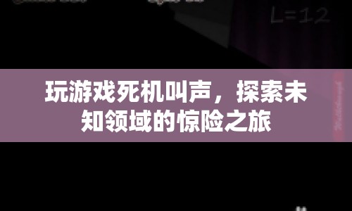 探索未知領(lǐng)域的驚險(xiǎn)之旅，游戲死機(jī)叫聲的奇妙體驗(yàn)  第1張