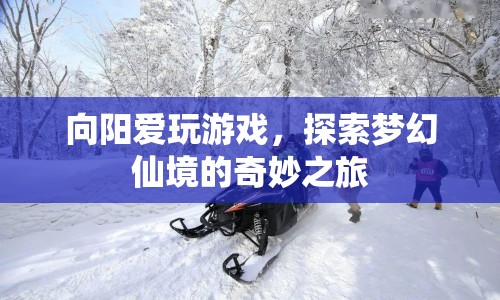 向陽的夢幻仙境之旅，探索游戲世界的奇妙