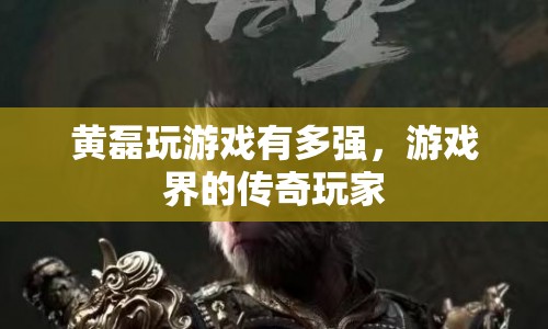 黃磊，游戲界的傳奇玩家