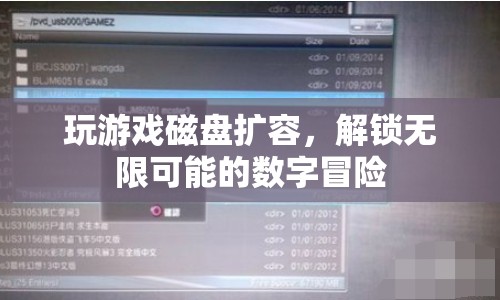 解鎖無(wú)限可能的數(shù)字冒險(xiǎn)，游戲磁盤擴(kuò)容