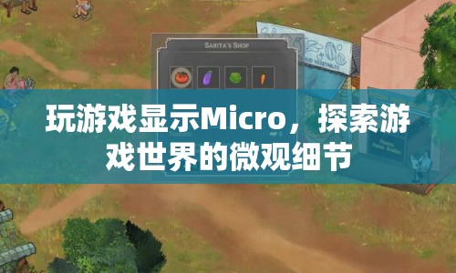 探索游戲世界的微觀細節(jié)，Micro展現(xiàn)游戲魅力