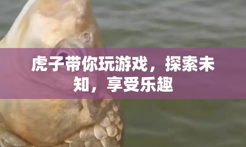 虎子帶你探索未知，享受游戲樂趣