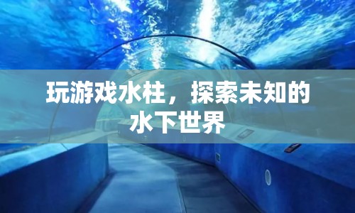 探索未知的水下世界，游戲水柱的奇妙之旅